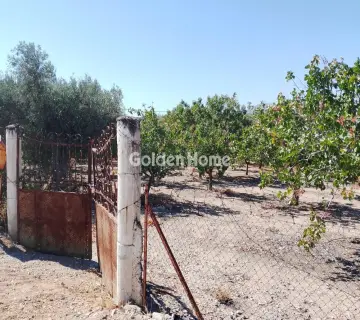 住宅 2870m<sup>2</sup> for sale photo 5046675