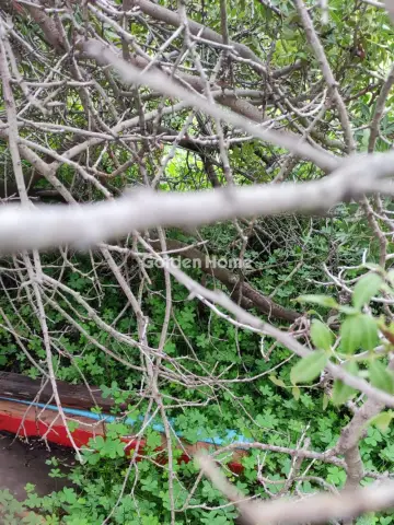 Οικιστικό 316τ.μ. προς πώληση φωτογραφία 1