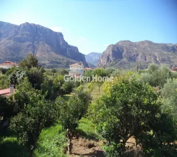 Residential 1032m<sup>2</sup> for sale photo 5040460