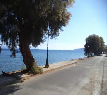 Residential 1032m<sup>2</sup> for sale photo 5040461