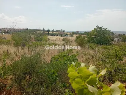 Οικιστικό 5730τ.μ. προς ενοικίαση φωτογραφία 1