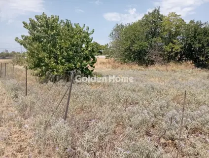 Οικιστικό 5730τ.μ. προς ενοικίαση φωτογραφία 6