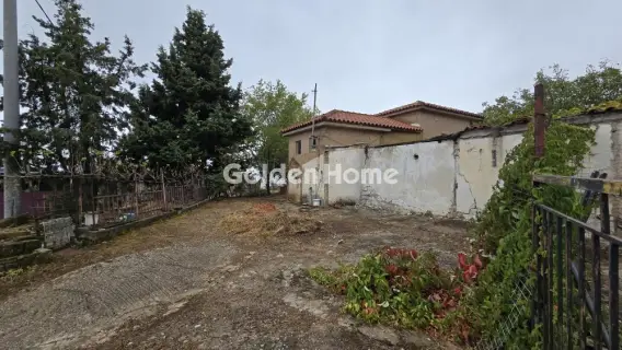 Golden Home Property Image