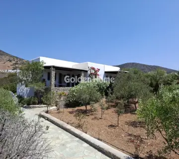 Golden Home Property Image