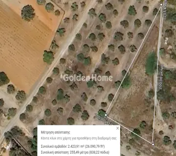 Golden Home Property Image