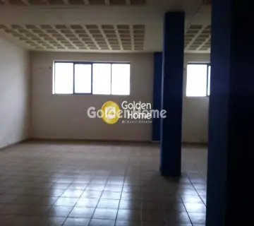 Βιομηχανικός - Βιοτεχνικός Χώρος 480τ.μ. προς πώληση φωτογραφία 5051702