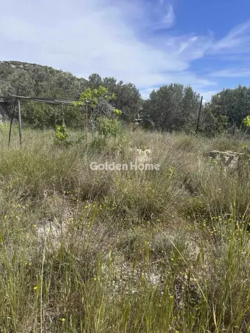 Parcel 2380m<sup>2</sup> for rent photo 5047835