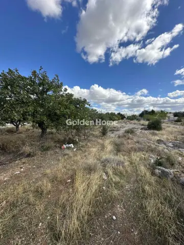 Residential 600m<sup>2</sup> for sale photo 1