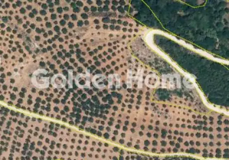 Parcel 39522m<sup>2</sup> for sale photo 1