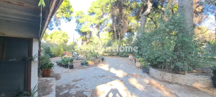 Store 197m<sup>2</sup> for sale photo 1