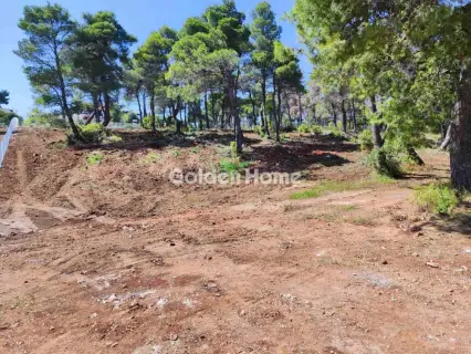 Residential 2065m<sup>2</sup> for sale photo 5063197