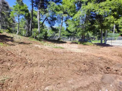 Residential 2065m<sup>2</sup> for sale photo 5063213