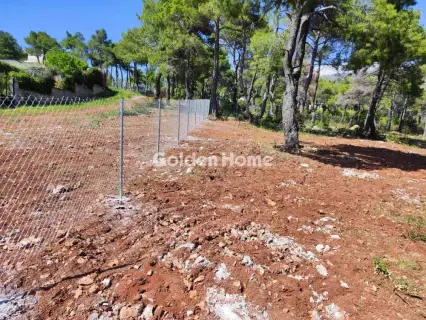 Residential 2065m<sup>2</sup> for sale photo 5063219