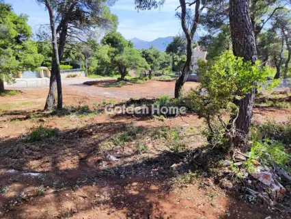 Residential 2065m<sup>2</sup> for sale photo 5063293