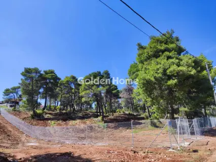 Residential 2065m<sup>2</sup> for sale photo 5063294