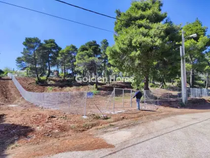 Residential 2065m<sup>2</sup> for sale photo 5063295