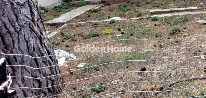 Οικιστικό 262τ.μ. προς πώληση φωτογραφία 1