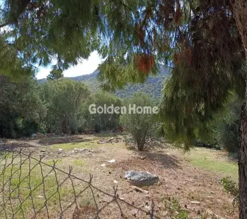 Residential 490m<sup>2</sup> for sale photo 5063613