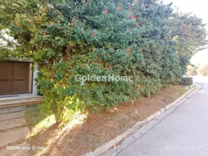 Μονοκατοικία 435τ.μ. προς πώληση φωτογραφία 3