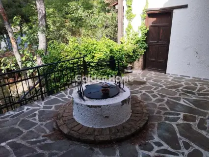 Μονοκατοικία 330τ.μ. προς πώληση φωτογραφία 19