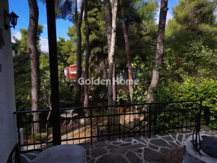 Μονοκατοικία 330τ.μ. προς πώληση φωτογραφία 18