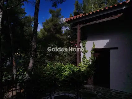 Μονοκατοικία 330τ.μ. προς πώληση φωτογραφία 20