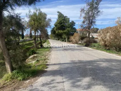 Residential 812m<sup>2</sup> for sale photo 3