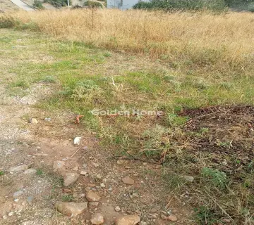 Residential 646m<sup>2</sup> for sale photo 4