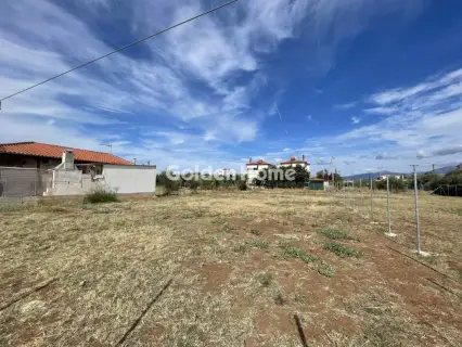 住宅 820m<sup>2</sup> for sale photo 5063949