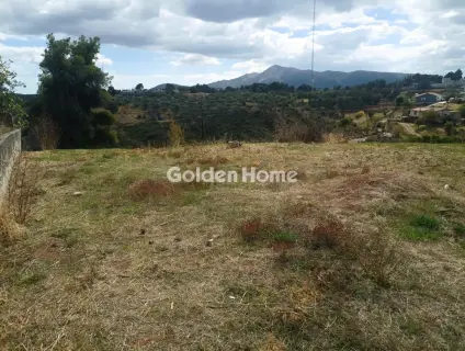 Οικιστικό 1050τ.μ. προς πώληση φωτογραφία 5064202