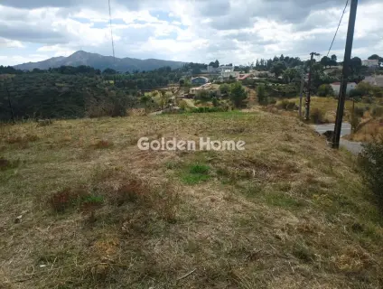 Οικιστικό 1050τ.μ. προς πώληση φωτογραφία 5064203