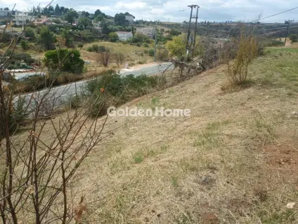 Οικιστικό 1050τ.μ. προς πώληση φωτογραφία 5064204