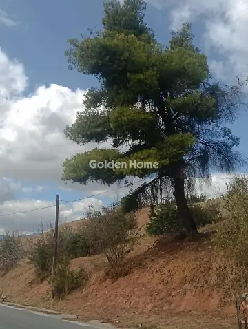 Οικιστικό 1050τ.μ. προς πώληση φωτογραφία 5064211