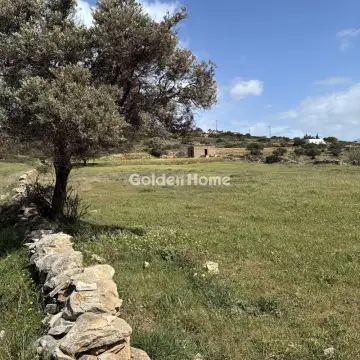 Αγροτεμάχιο 8300τ.μ. προς πώληση φωτογραφία 5363490