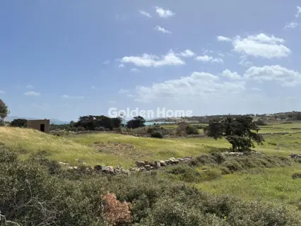 Αγροτεμάχιο 8300τ.μ. προς πώληση φωτογραφία 5363491