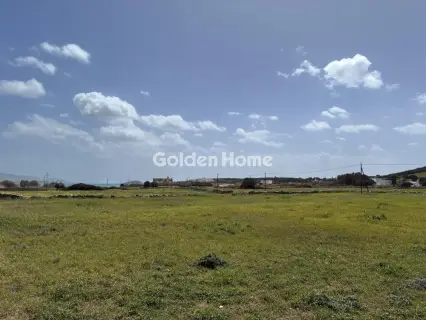 Αγροτεμάχιο 8300τ.μ. προς πώληση φωτογραφία 5363492