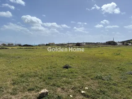 Αγροτεμάχιο 8300τ.μ. προς πώληση φωτογραφία 5363493