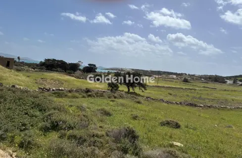 Αγροτεμάχιο 8300τ.μ. προς πώληση φωτογραφία 5363568