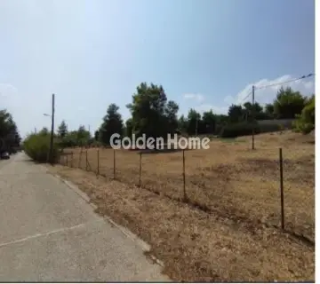 Έκταση 7100τ.μ. προς πώληση φωτογραφία 5067447