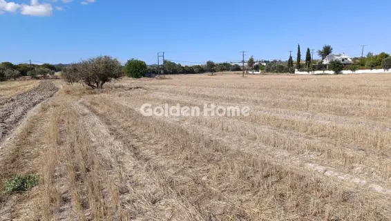 Professional Plot 5550m<sup>2</sup> for sale photo 1