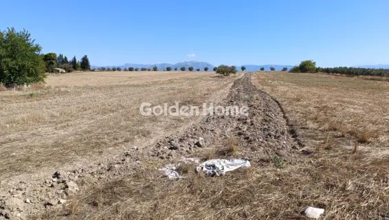 Professional Plot 5550m<sup>2</sup> for sale photo 2