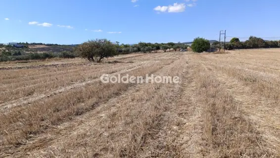 Professional Plot 5550m<sup>2</sup> for sale photo 3