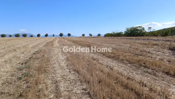 Professional Plot 5550m<sup>2</sup> for sale photo 4