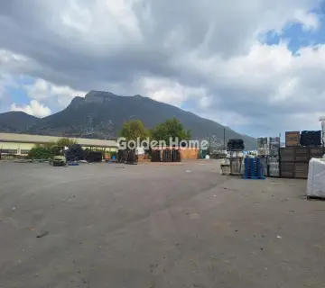 Professional Plot 13600m<sup>2</sup> for sale photo 2