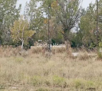Professional Plot 5000m<sup>2</sup> for rent photo 5073115