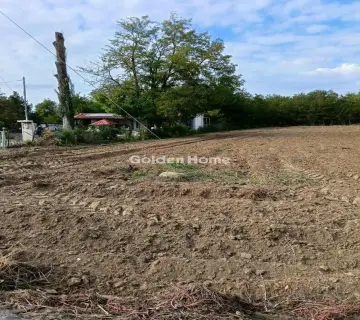 Αγροτεμάχιο 4381τ.μ. προς πώληση φωτογραφία 5073494