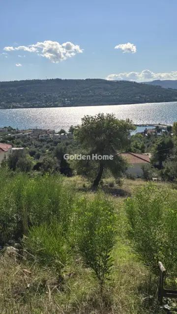 Οικιστικό 1020τ.μ. προς πώληση φωτογραφία 2