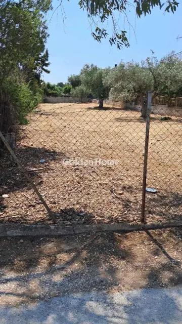 Residential 600m<sup>2</sup> for sale photo 2