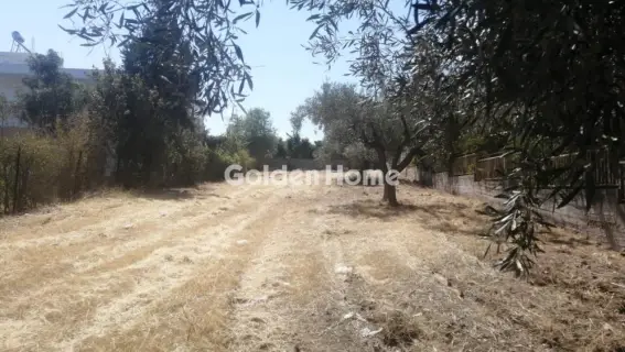 Residential 600m<sup>2</sup> for sale photo 1