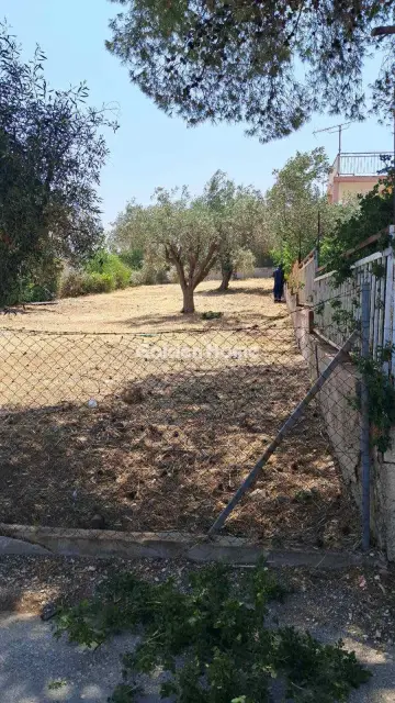 Residential 600m<sup>2</sup> for sale photo 4